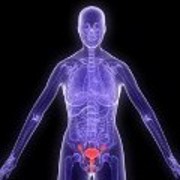 Menopause related image